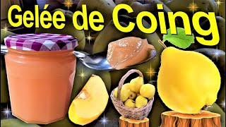 🍏Comment faire sa gelée de coing   quotmarmeladequot [upl. by Nodanrb]