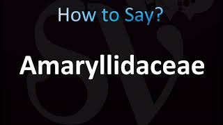 How to Pronounce Amaryllidaceae [upl. by Yroffej830]