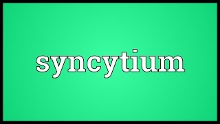 Syncytium Meaning [upl. by Leiahtan]