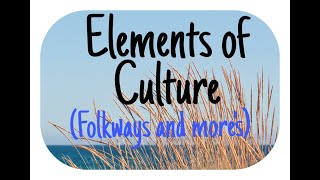 Folkways and Mores as Elements of Culture  Sociology  Hindi Urdu [upl. by Noiztneb235]