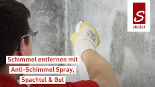 Antischimmelspray  Schimmel entfernen  mit AntiSchimmel Spray Spachtel Gel  SYCOFIX Tutorial [upl. by Jr]