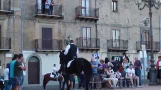 1° Gran Galà Equestre HD Città di Troina  20 Agosto 2014 [upl. by Araet]