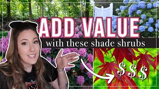 Shrubs for Shade that add curb appeal amp value to your home [upl. by Sherlock]