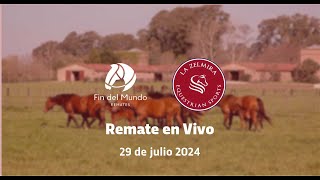 REMATE La Zelmira Equestrian Sports [upl. by Grimbal]