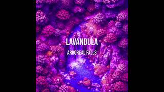 Lavandula  Arboreal Falls [upl. by Siramaj]