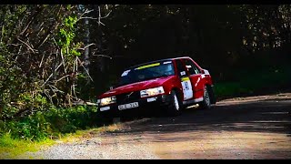 SS3 Alla bilar 20241005RALLY ASKERSUND [upl. by Andaira272]