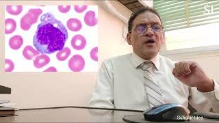 WBCs in blood smear كيف تتعرف على خلايا الدم البيضاء تحت الميكروسكوب [upl. by Eessac]