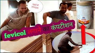 fevicol लगाने का कंपटीशन।। fevicol carpenter [upl. by Asta]