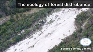 Forest Ecology  The Role of Forest Disturbance  Dr Adam Forbes Ep 005 [upl. by Valerle]