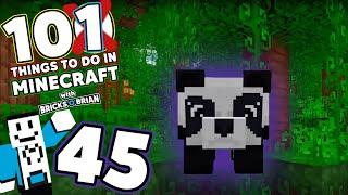 New Panda Pals 101 Things to do in Minecraft with Bricks O Brian [upl. by Aeslehc]