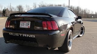 STRAIGHT PIPED MUSTANG V8 insanely loud [upl. by Allecnirp173]