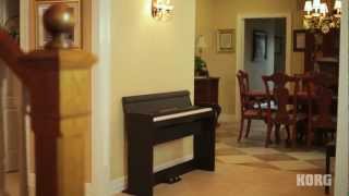 Korg LP380 Digital Piano A pure piano experience with style to fit any space [upl. by Wilinski229]