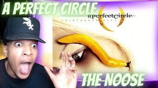 MAYNARD is INSANE A PERFECT CIRCLE  THE NOOSE  REACTION [upl. by Arinaid803]