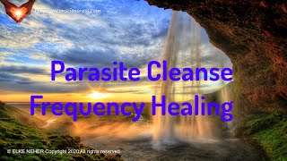 Parasite Cleanse V2 Frequency Healing  Get Rid Of Nasty Worms Flukes And Other Parasites [upl. by Rogers]