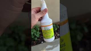 How To Repel Gnats Aphids amp White Flies  Credit TikTokSheshopdealz [upl. by Valli]