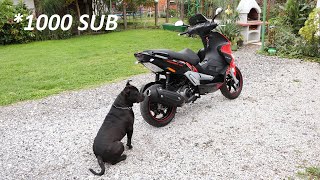 Gilera Runner VXR 200  1000 SUB SPECIAL 2k20 [upl. by Juna19]