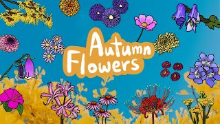 Autumn Flowers  What Flowers Bloom in Fall   Discover autumn flowers that bloom  Kids Draw [upl. by Cung]