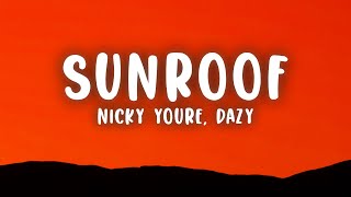 Nicky Youre dazy  Sunroof Lyrics [upl. by Lexis278]