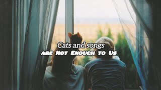 CATS AND THE SONGS  YAŞLI AMCA [upl. by Eckblad]