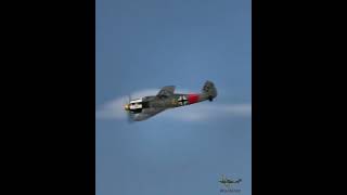 FockeWulf Fw190 tailchasing a Supermarine Spitfire vintageaircraft aviation dogfight avgeek [upl. by Chiles308]