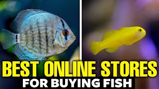 Heres The Best Place To Buy Fish Online [upl. by Esil996]