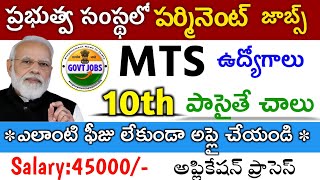 MTS Jobs Recruitment Notification  10th pass  Govt Jobs 2024 Free Jobs In Telugu [upl. by Cathey603]