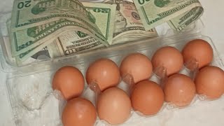 Many Ways To Make A Retirement Nest Egg [upl. by Bowman]