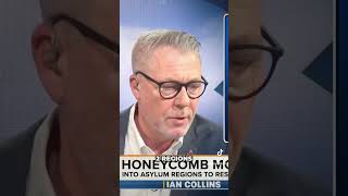 Germanys Controversial Honeycomb Migration Model Explained news truth uk germany [upl. by Naujaj]