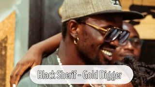 Black Sherif  Golddigger Eno Fowaa [upl. by Nnyrb876]