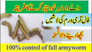 Prepare granular pesticide for Fall Armyworm at home Practical Control of FAW  Dr Jamil Shafi [upl. by Joab]