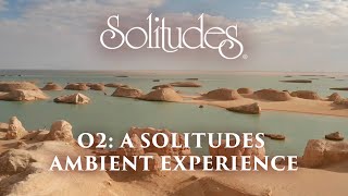 Dan Gibson’s Solitudes  Shaping the Sand  O2 A Solitudes Ambient Experience [upl. by Atinuahs172]