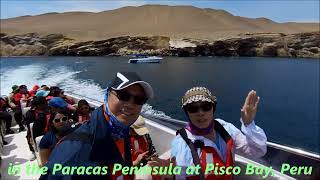 Peru秘魯Paracas National Reserve 帕拉卡斯國家保護區Nov 5 2023 [upl. by Hayes]