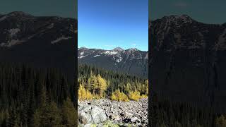 Pasayten Peak from Windy Pass pasaytenwilderness larches pacificcresttrail [upl. by Ateekram]