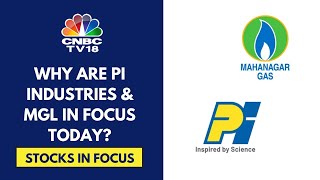 PI Industries Key Client Kumiai Lowers Its FY24 Guidance MGL Expects 67 Volume Growth In FY25 [upl. by Slein474]