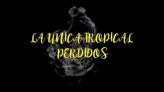 La Unica Tropical Perdidos Letra [upl. by Aislehc]