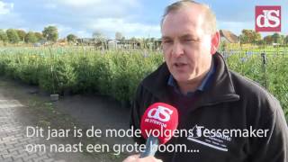 Vanuit Oene worden jaarlijks 80000 kerstbomen verscheept [upl. by Alesi]