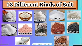 Types of Salt TLE 8 Quarter 2 Different Kinds of Salt  Mommy Merai [upl. by Borchert]