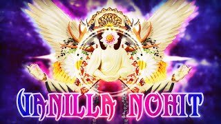 NOHIT VANILLA ONLY Nameless Deity  Master Mode  Calamity April Fools [upl. by Ynohtna]