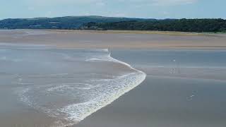 Arnside Tidal Bore By Drone 160722 [upl. by Atiuqam]