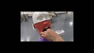 How to install the phantom head dental simulator training model [upl. by Haven287]