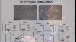 Pathogenesis of Human TCell Leukemia Virus Type I Infections Roles of Viral amp Immune Activation [upl. by Youngran]