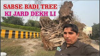 SABSE BADI TREE KI JARD DEKH LI  RIYAZ SAIFI VLOG [upl. by Kroy]