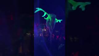 🔥 Crowd goes wild in the forest at Ikarus Festival 🙌🏻 shorts festival deephouse afrohouse [upl. by Gillead317]