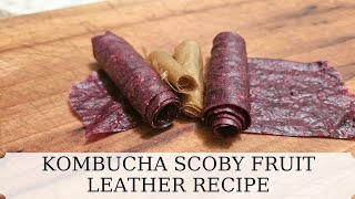 Scoby Fruit Leather Recipe [upl. by Narret]