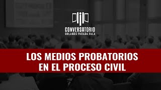 Medios Probatorios en el Proceso Civil [upl. by Milore]