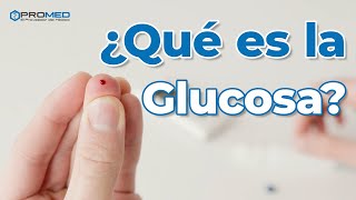 Qué es la glucosa [upl. by Deelaw]