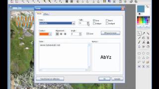 Ajouter du texte à une image sous PhotoFiltre [upl. by Randy]