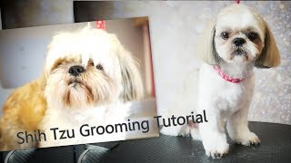 PetGroooming  Shih Tzu Grooming from start to finish 91 [upl. by Marius]