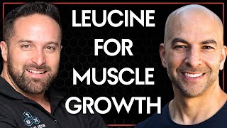 Muscle protein synthesis and the importance of leucine  Peter Attia amp Layne Norton [upl. by Dygert373]