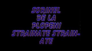 SORINEL DE LA PLOPENI STRAINATATE STRAINATATE [upl. by Irallih983]